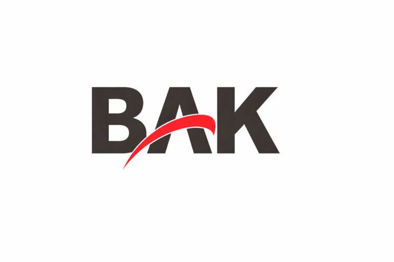 Logo da BAK International no Paraguai